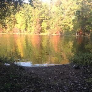 Meet your Posher, William